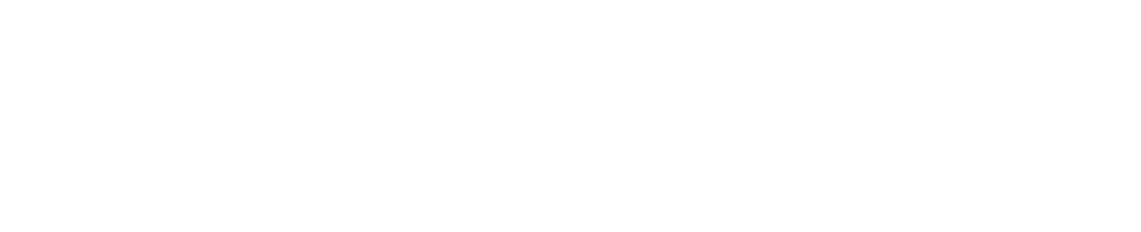 Visit Lake City LOGO